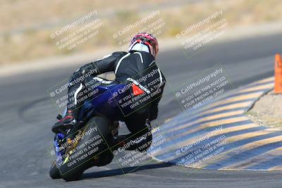 media/Apr-10-2022-SoCal Trackdays (Sun) [[f104b12566]]/Turn 11 Backside (945am)/